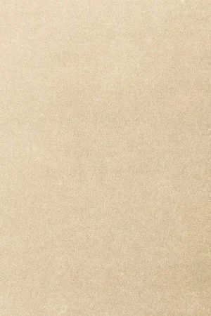 Ковровое покрытие AW Oinone 34 - (5м) в Тольятти