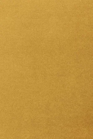 Ковровое покрытие AW Oinone 54 - (5м) в Тольятти