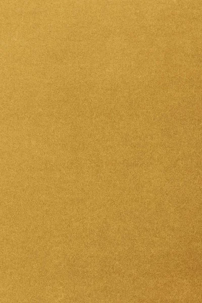 Ковровое покрытие AW Oinone 54 - (5м) в Тольятти