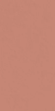 Керамогранит Italon Серфейс Скарлетт (Патинированная, 60x120) в Тольятти