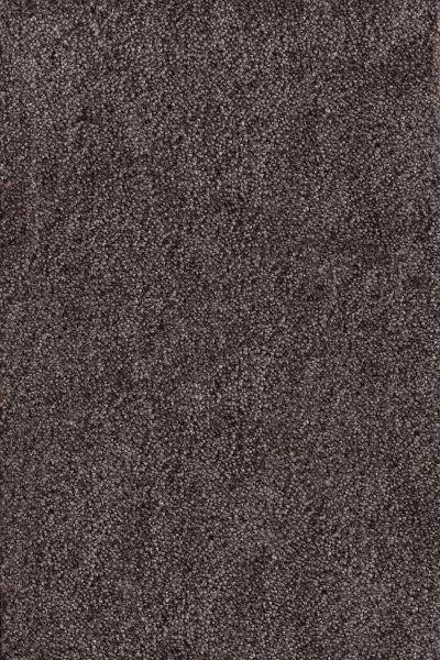 Ковровое покрытие AW Messalina 44 - (4м) в Тольятти