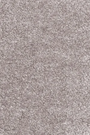 Ковровое покрытие AW Euphoria 16 - (5м) в Тольятти