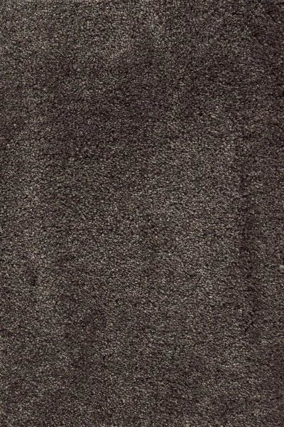 Ковровое покрытие AW Fedone 44 - (5м) в Тольятти