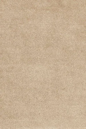 Ковровое покрытие AW Omphale 37 - (4м) в Тольятти