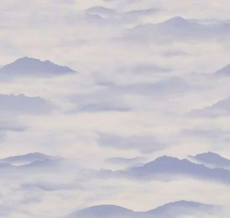 Обои Loymina Clair CLR4, 006 в Тольятти