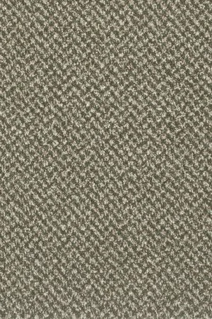 Ковровое покрытие AW Stainaway Tweed 24 - (4м) в Тольятти