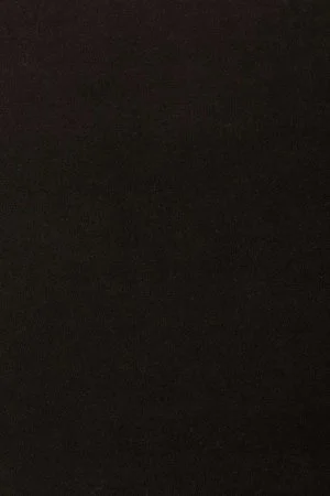 Ковровое покрытие AW Oinone 99 - (4м) в Тольятти