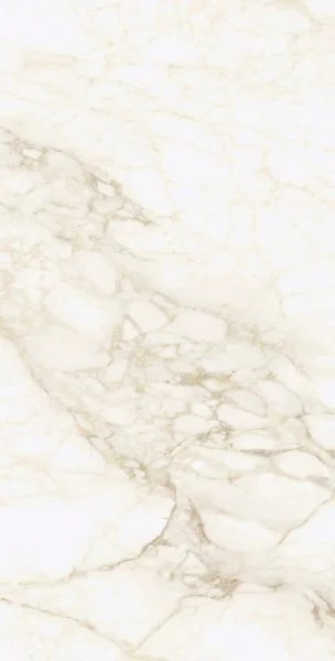 Керамогранит Coliseum Микеланджело Ворм 60х120 (Натуральный и Реттифицированный) в Тольятти