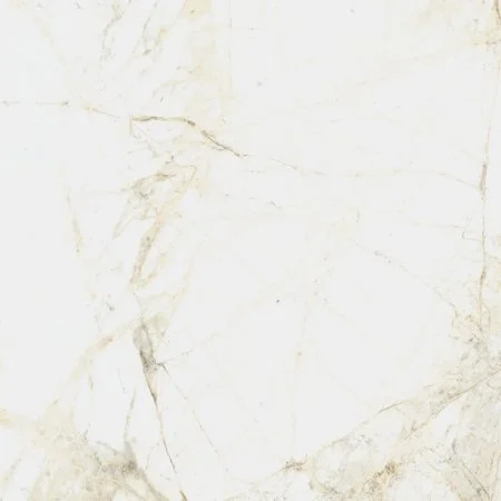 Керамогранит Coliseum Канова Уайт 60х60 (Натуральный и Реттифицированный) в Тольятти