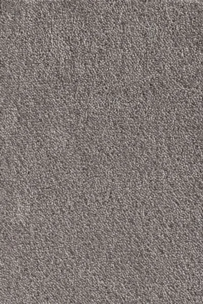 Ковровое покрытие AW Messalina 49 - (5м) в Тольятти