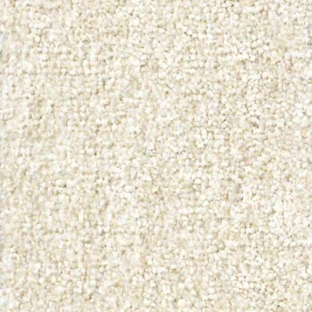 Ковровое покрытие Zartex Парадиз 565 Пломбир - 3 м в Тольятти