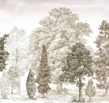 Обои Loymina Пейзаж vol. 2 ART14 012 в Тольятти