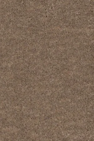 Ковровое покрытие AW Euphoria 36 - (5м) в Тольятти