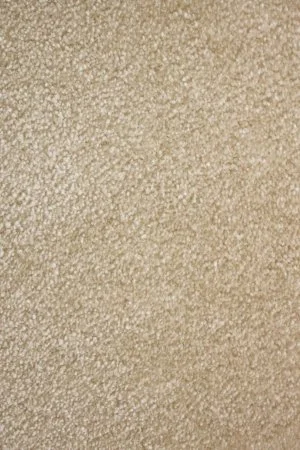 Ковровое покрытие AW Euphoria 33 - (4м) в Тольятти