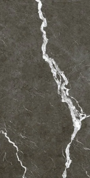 Керамогранит Coliseum Микеланджело Дарк 60х120 (Натуральный и Реттифицированный) в Тольятти