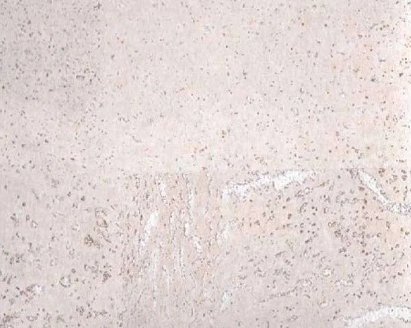 Настенное пробковое покрытие CorkArt PW 386 WS в Тольятти