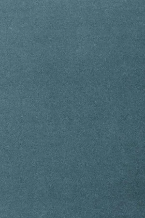 Ковровое покрытие AW Oinone 74 - (4м) в Тольятти