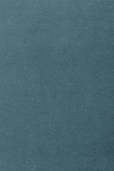 Ковровое покрытие AW Oinone 74 - (5м) в Тольятти