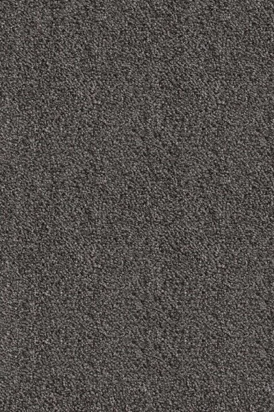 Ковровое покрытие AW Messalina 99 - (5м) в Тольятти