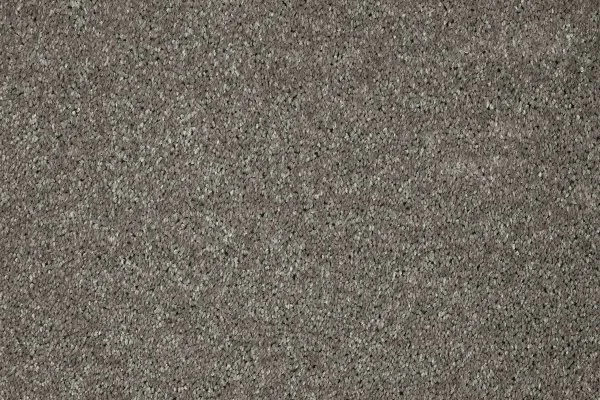 Ковровое покрытие AW Gala 94 - (5м) в Тольятти