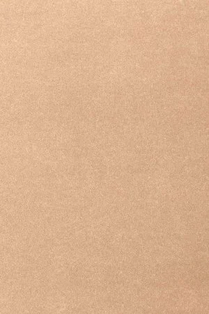 Ковровое покрытие AW Oinone 08 - (5м) в Тольятти