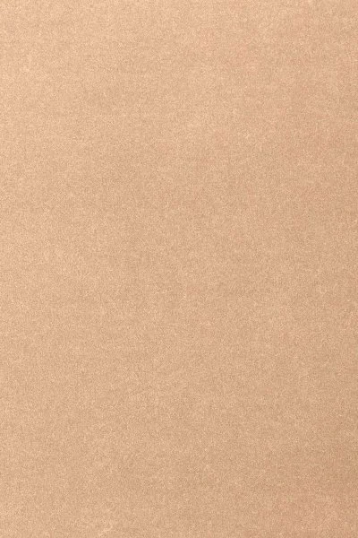 Ковровое покрытие AW Oinone 08 - (4м) в Тольятти