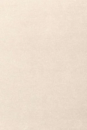 Ковровое покрытие AW Oinone 03 - (4м) в Тольятти