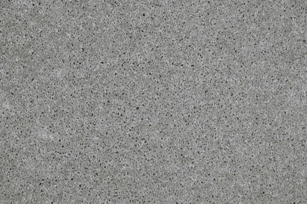 Ковровое покрытие AW Gala 90 - (4м) в Тольятти