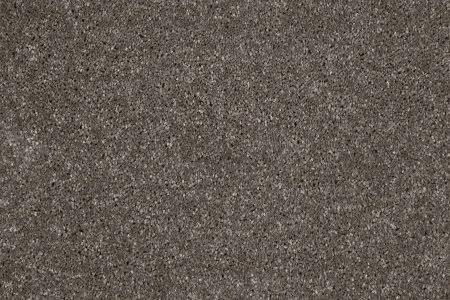 Ковровое покрытие AW Gala 49 - (5м) в Тольятти