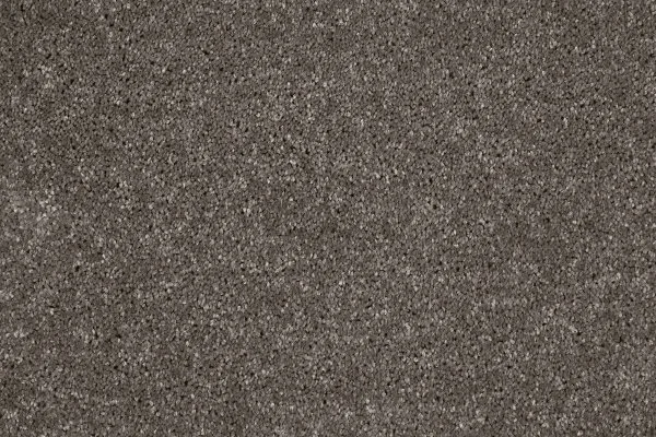 Ковровое покрытие AW Gala 49 - (4м) в Тольятти