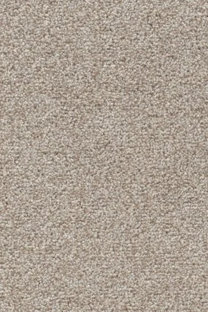 Ковровое покрытие AW Stainguard Harvest 04 - (4м) в Тольятти