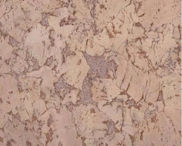 Настенное пробковое покрытие CorkArt PW 324 NK в Тольятти