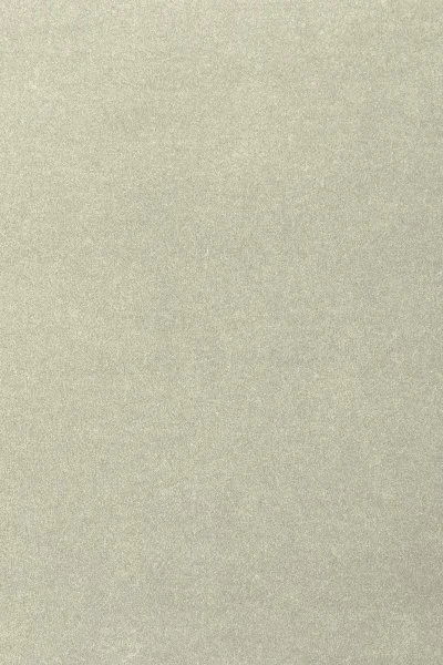 Ковровое покрытие AW Oinone 02 - (4м) в Тольятти