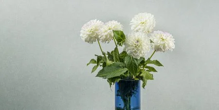 Обои Loymina Shade vol.2 SDR5, 001 в Тольятти