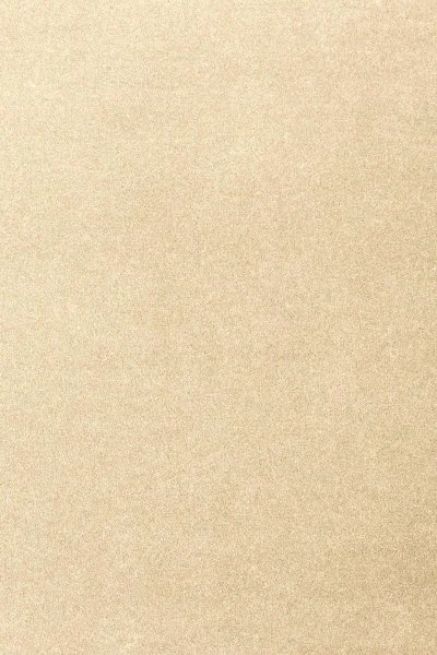 Ковровое покрытие AW Oinone 33 - (4м) в Тольятти