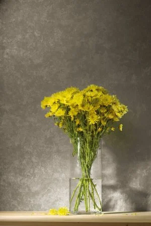 Обои Loymina Golden Library TDG 7, 008 в Тольятти