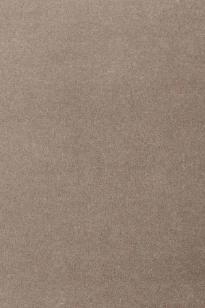 Ковровое покрытие AW Oinone 49 - (4м) в Тольятти