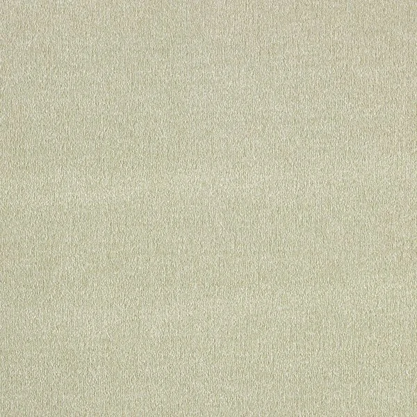 Ковровое покрытие AW Orseis 20 - (4м) в Тольятти