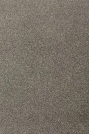 Ковровое покрытие AW Oinone 95 - (4м) в Тольятти