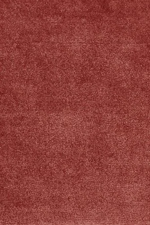 Ковровое покрытие AW Omphale 10 - (5м) в Тольятти