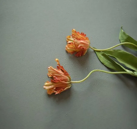 Обои Loymina Russian Classic Ru10, 006 в Тольятти