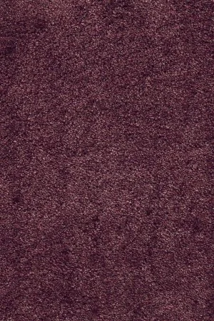 Ковровое покрытие AW Fedone 19 - (5м) в Тольятти