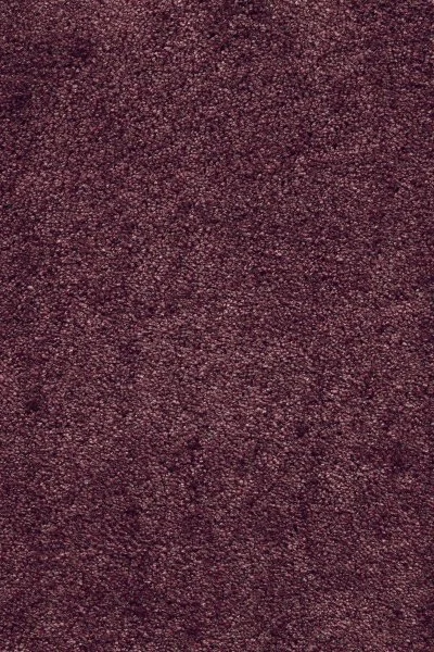 Ковровое покрытие AW Fedone 19 - (5м) в Тольятти