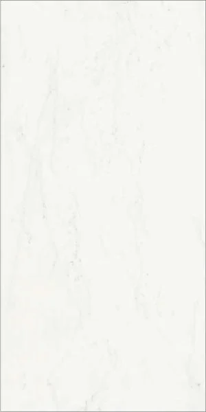 Керамогранит Italon Шарм Делюкс Бьянко Микеланджело 60х120 (Паттинированная и реттифицированная) в Тольятти