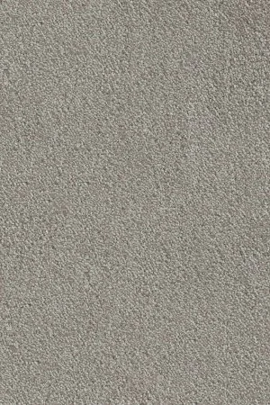 Ковровое покрытие AW Messalina 9 - (4м) в Тольятти