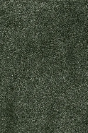 Ковровое покрытие AW Fedone 24 - (5м) в Тольятти