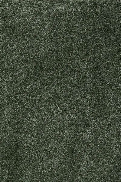 Ковровое покрытие AW Fedone 24 - (5м) в Тольятти