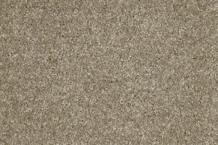 Ковровое покрытие AW Gala 33 - (4м) в Тольятти