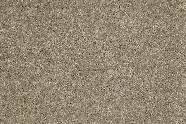 Ковровое покрытие AW Gala 33 - (4м) в Тольятти