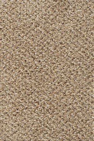Ковровое покрытие AW Stainaway Tweed 50 - (4м) в Тольятти
